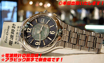 シチズン CITIZEN エクシード EBG74-2064 黒蝶貝文字盤 腕時計
